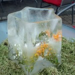 1 Jahr Biomarkt Landgefühl