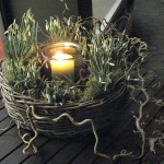 Biomarkt Landgefühl - Stimmungsbild